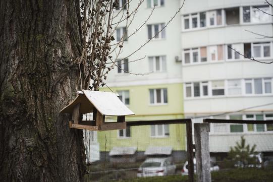 дерев'яна годівничка