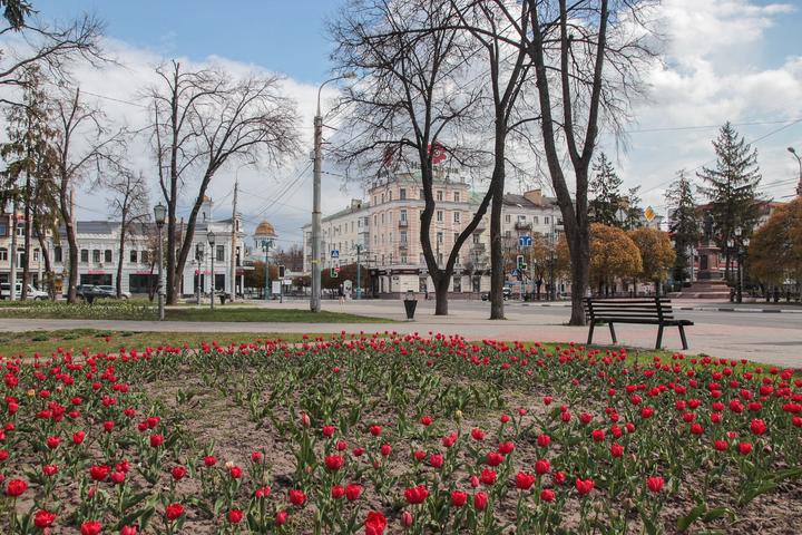 Квіти в Сумах журнал Цукр IMG 1273