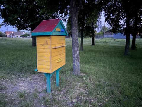 IMG 8840