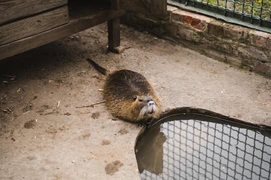 photo 2025 05 23 18 30 58