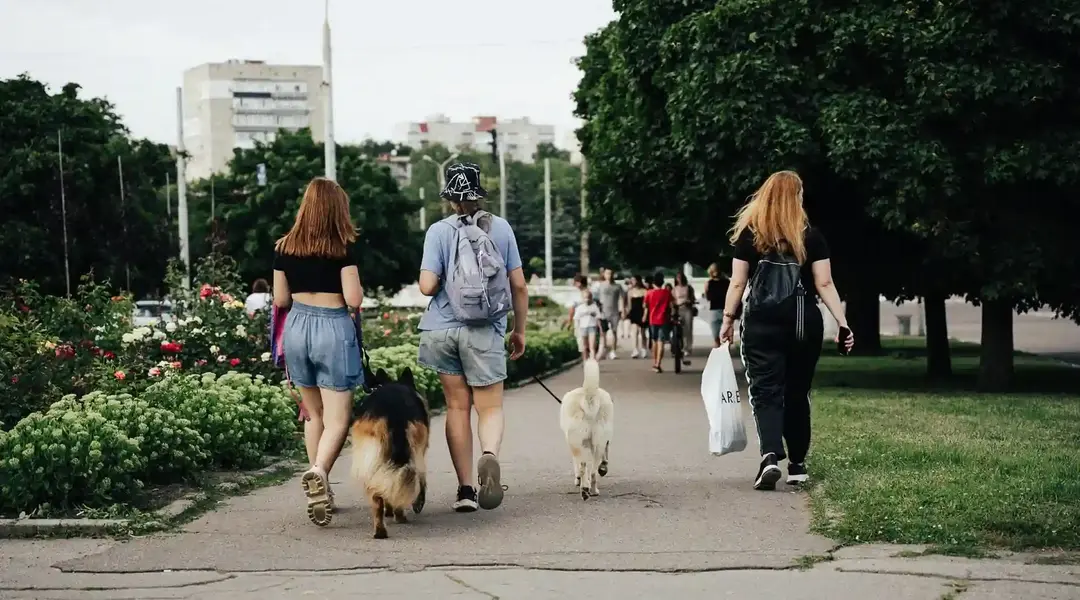 lyudy hulyayutʹ po tsentru sum Люди гуляють по Сумах