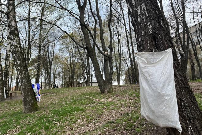 мішки для сміття у парку Верижиця