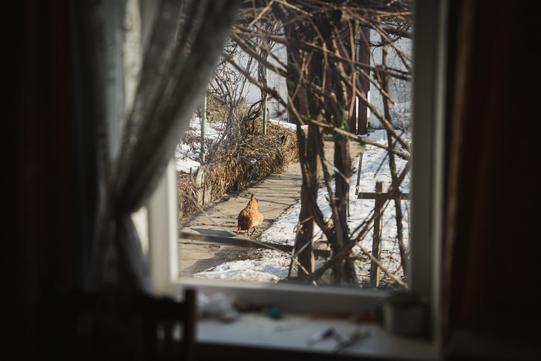 photo 2025 03 11 16 13 08 3