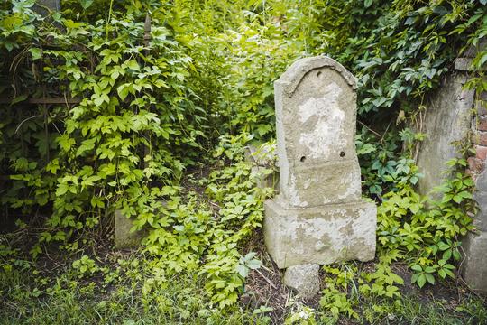 Німецький пам'ятник у бур'янах на Центральному кладовищі в Сумах