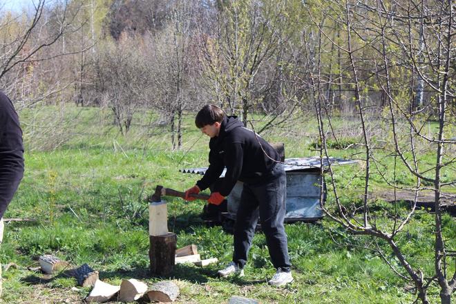 Рубають дрова в притулку для собак