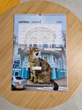 kalendar z sumsʹkymy kotamy