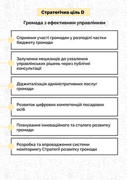 infohrafika stratehiia Sum 5 scaled