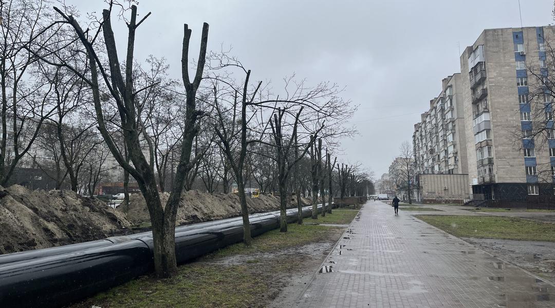 Обрубані дерева в Сумах на Харківській