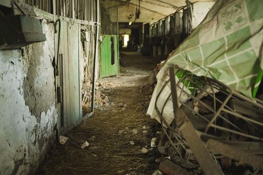 naslidky ataky na kinnosportyvnu shkolu v sumakh