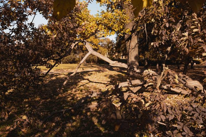 photo 2022 10 19 10 52 30