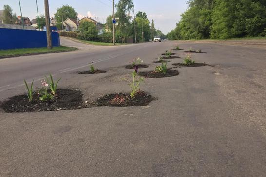 3 kviti iami lutsk 3