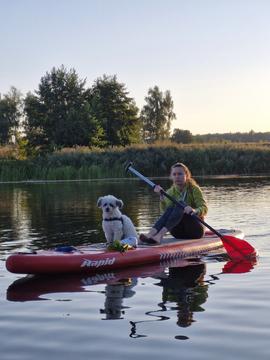 sup dog sumy sup dog sumy