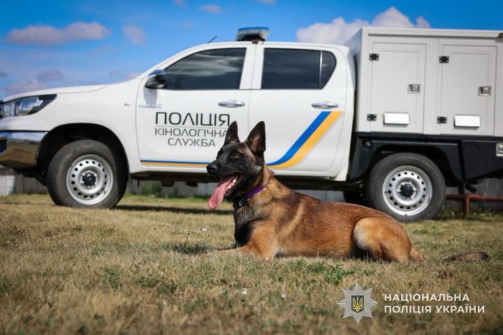 kinolohichna sluzhba pesyk Кінологічна служба песик