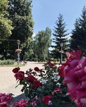 Териорія навколо Альтанки