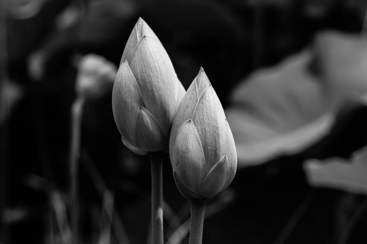 pexels philippe bonnaire 6329894 scaled