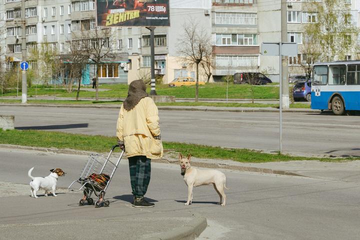 prospekt lushpy v sumakh kviten 2026 (8)