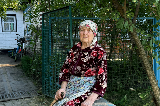 babusia sumshchyna