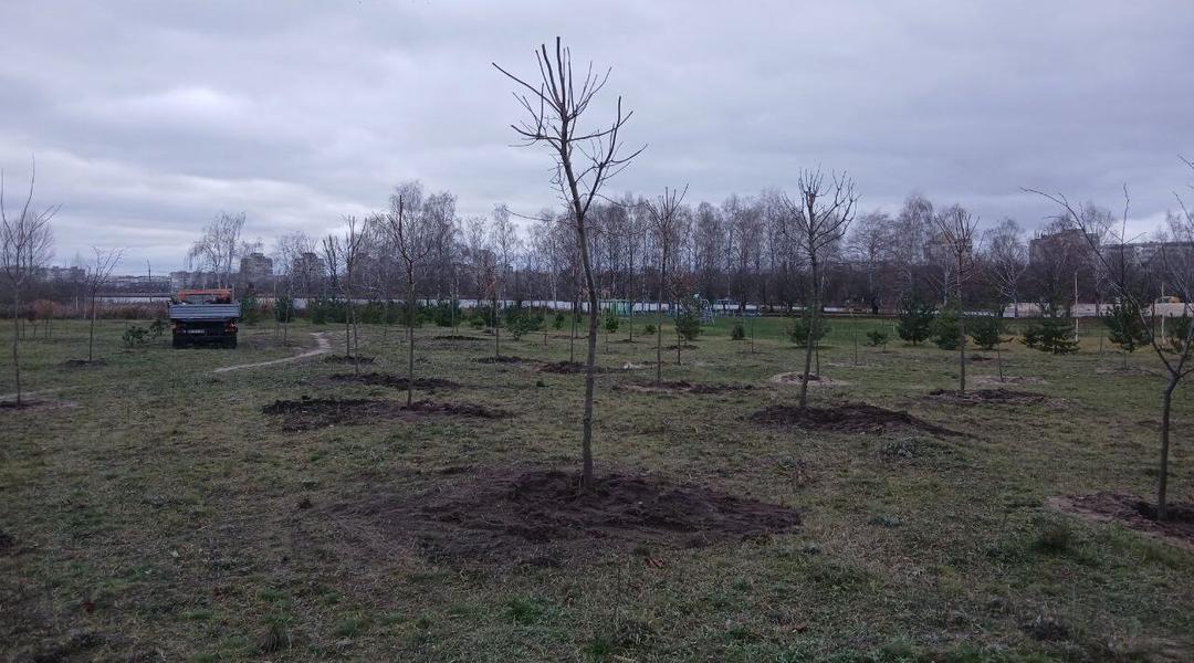 bilia cheshky vysadyly dereva Біля Чешки висадили дерева