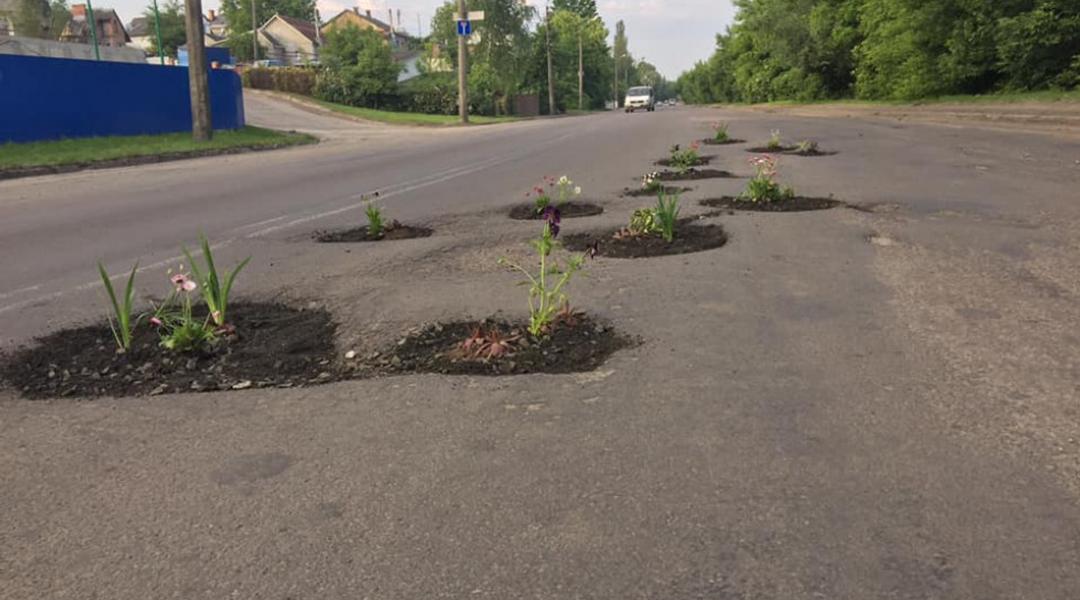 3 kviti iami lutsk 3