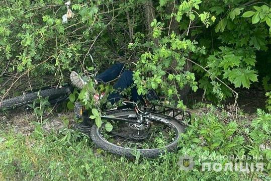 photo 2024 05 11 19 12 52 2