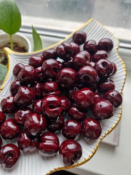 chereshni sumy glina 8