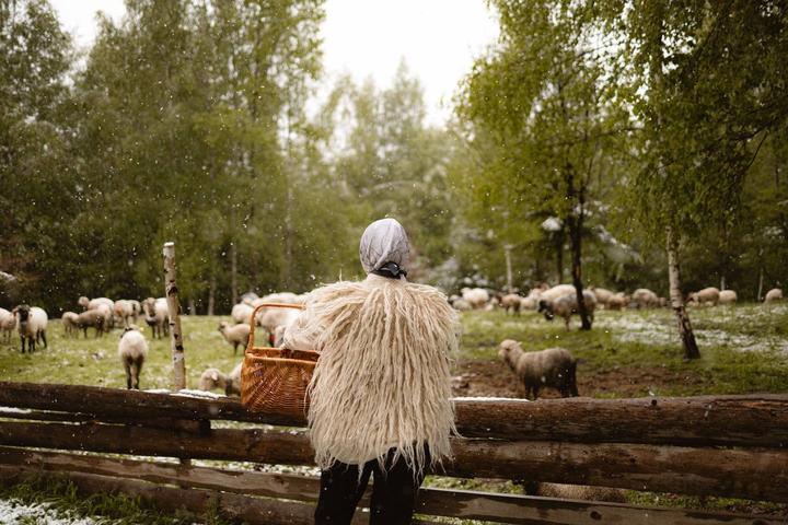 Мрійники (1) Мрійники (1)
