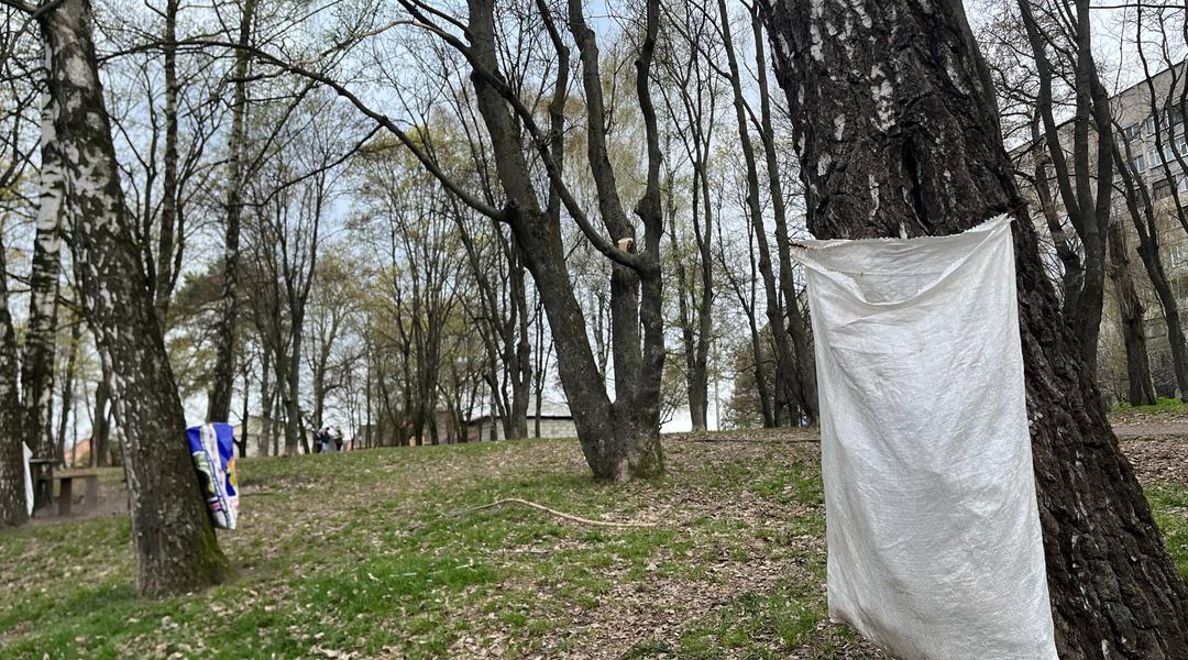 мішки для сміття у парку Верижиця