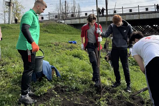Висадка дерев у центрі Сум