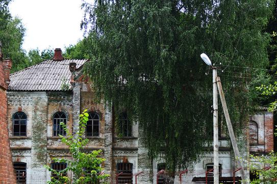 chastyna sadyby khrushchovykh u lebedynsʹkomu rayonі