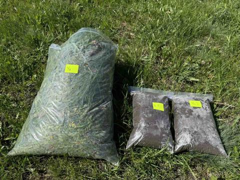 трава й ґрунт на Сумщині