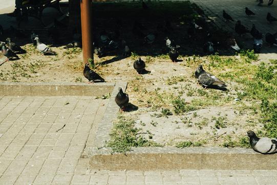 photo 2023 06 22 14 47 06