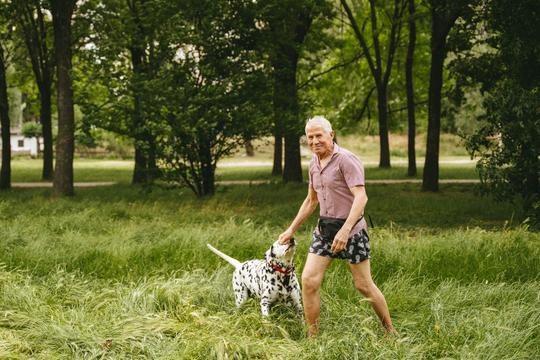 cholovik vede dalmatyn sumy