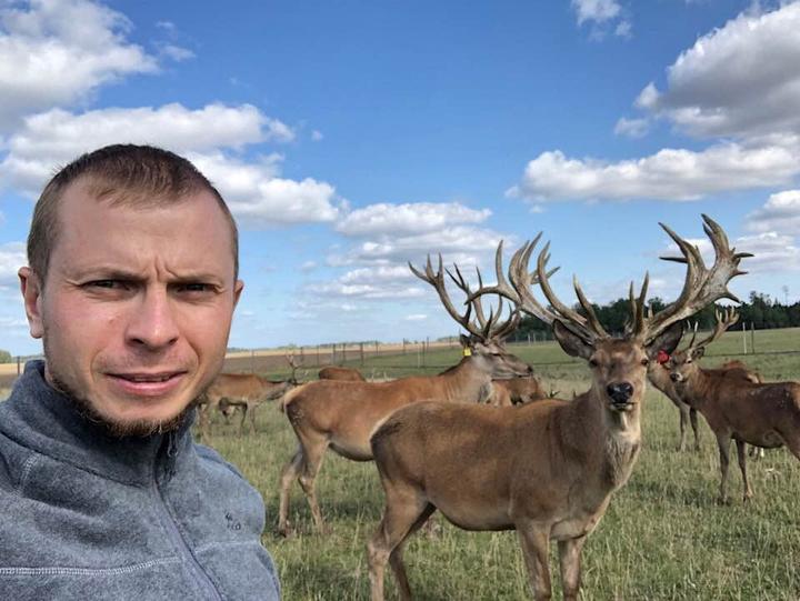 Олені на Сумщині 79029953 2047716942039270 4968539058457280512 n