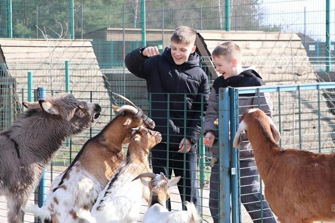 dіty іz sumshchyny na vіdpochynku Діти із Сумщини на відпочинку
