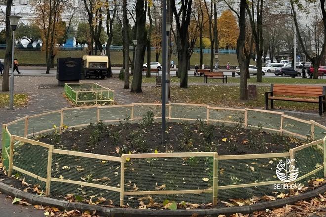 Клумба з трояндами в Сумах
