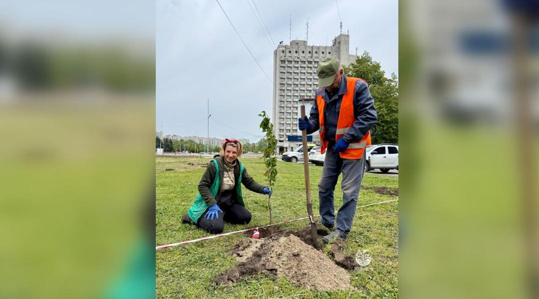 Дизайн без назви (2)