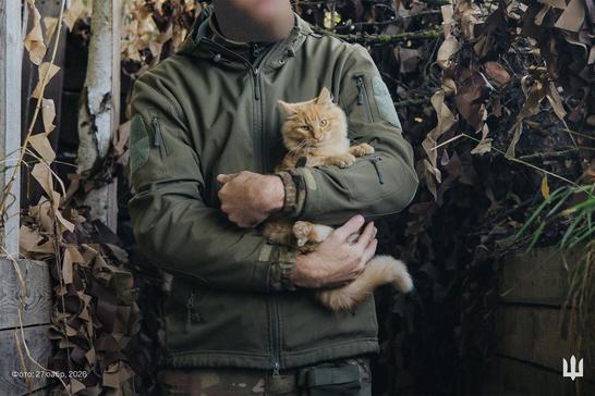 Кіт на руках у бійця