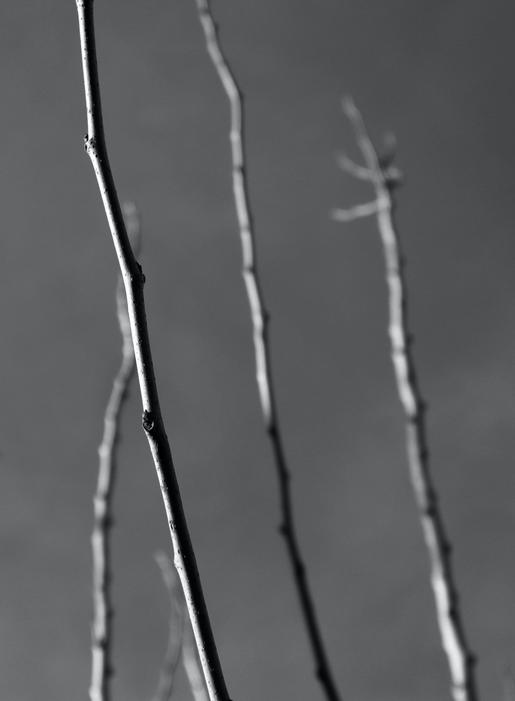 Foto avtora Francesco Borzani z Pexels scaled