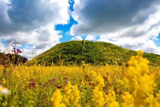 Кургани Посульської групи скіфських некрополів на Роменщині Порослий травою курган серед поля з жовтими й фіолетовими польовими квітами під хмарним небом на Роменщині
