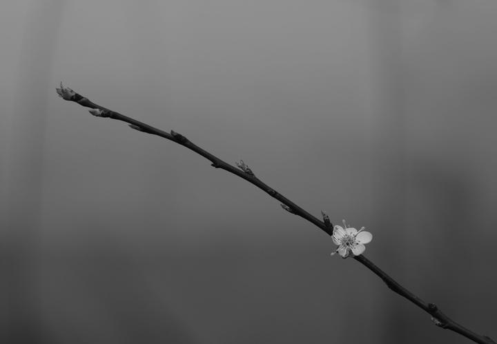 Foto avtora Roman Kaiuk z Pexels scaled