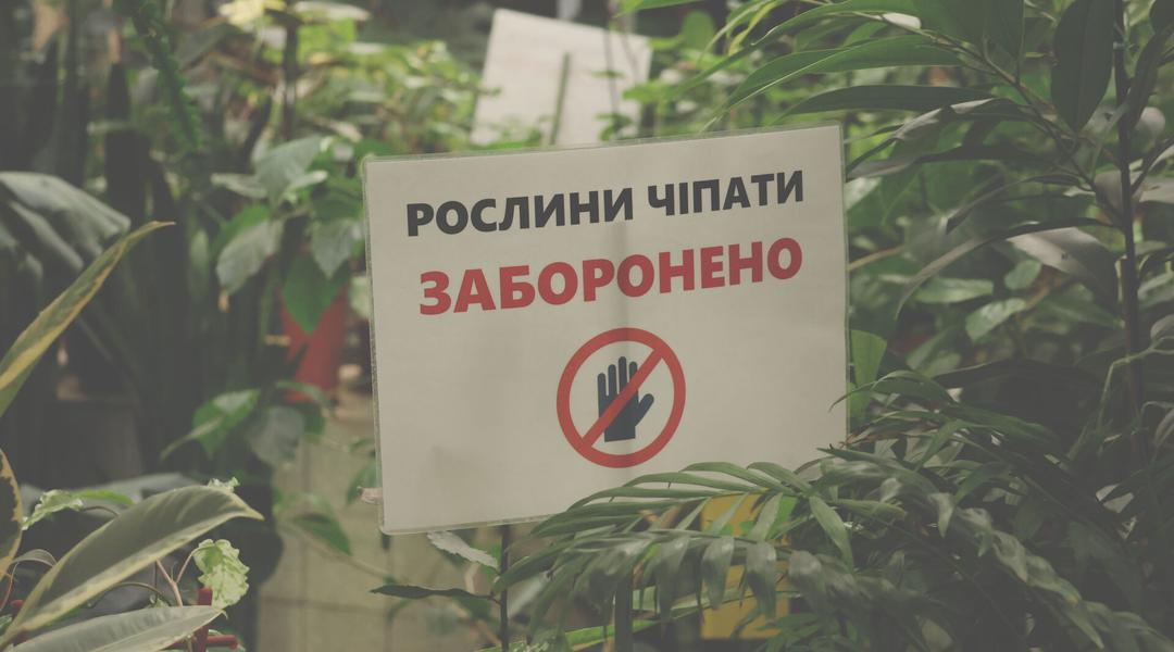 Носить футболку «Фу, люди» й повертає крадені рослини. Історія доглядачки зимового саду в Сумах