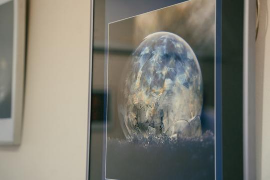 Фото Наталії Семенченко з Сум