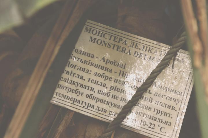 інформаційна табличка монстери в зимовому саду
