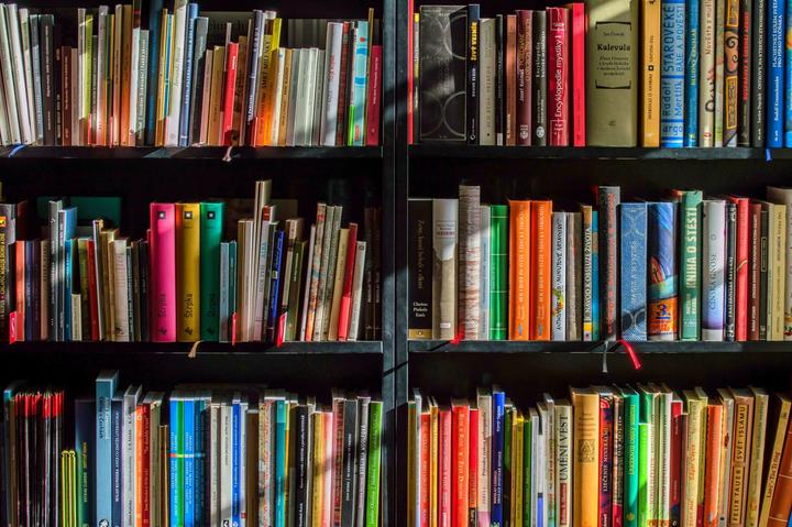 bookcase-books-bookshelves-159711 bookcase books bookshelves 159711