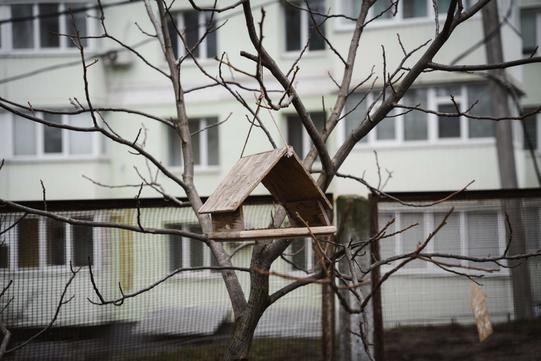 годівчника з дерева