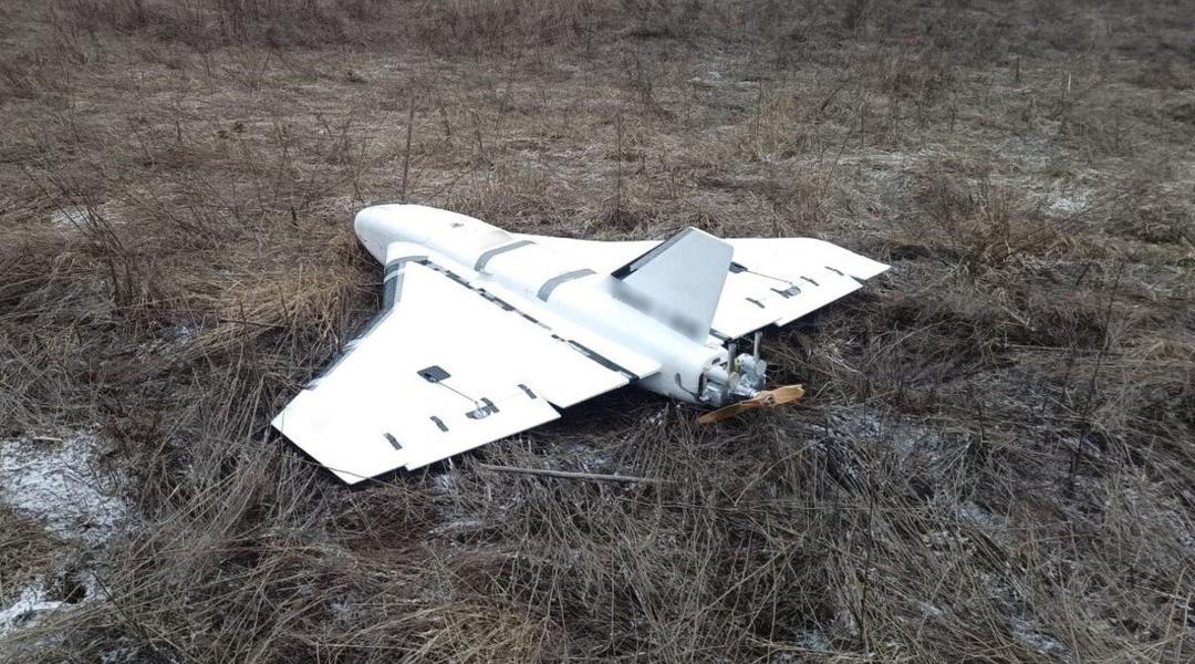 gerbera na sumshchyni (1)