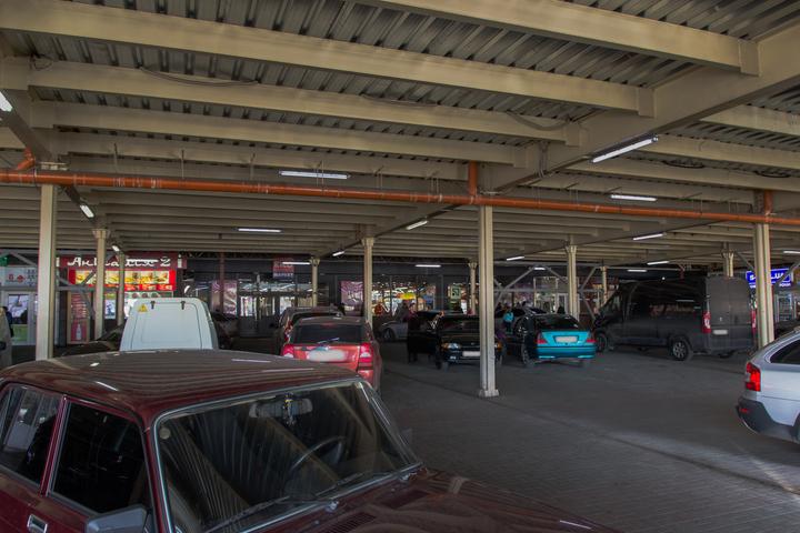 IMG 0479