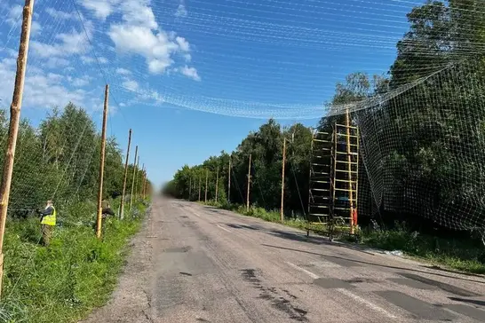 Антидронові сітки на Сумщині