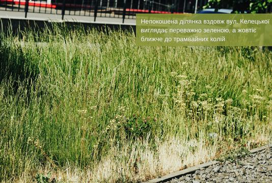 photo 2023 06 22 14 47 27