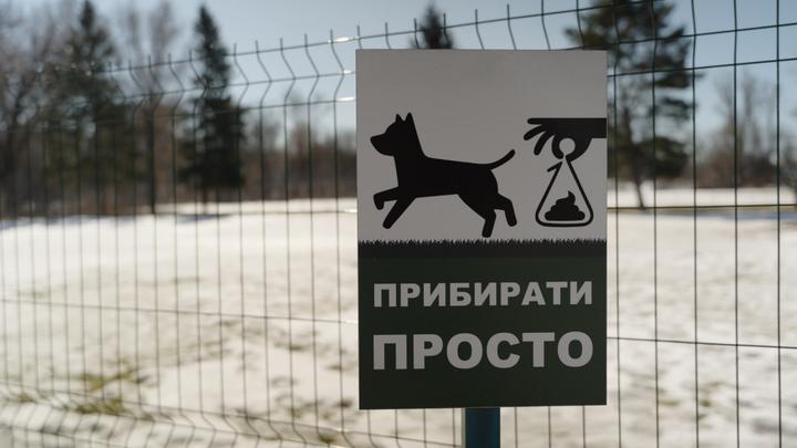 Майданчик для тварин в Сумах, де можна було скористатися пакетами для прибирання екскрементів.